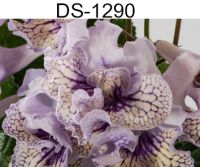 DS-1290