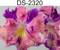 DS-2320 (Диметрис)