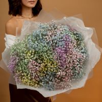 Гипсофила радужная от 7 шт
