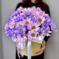 Акварель: Цветные хризантемы в коробке