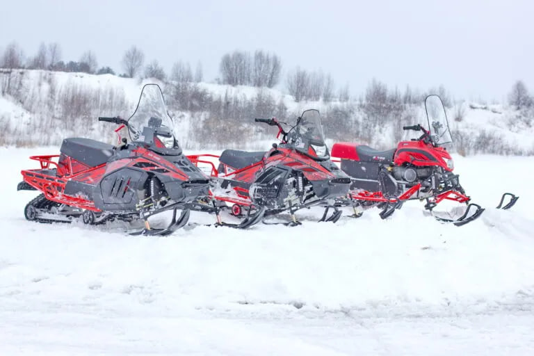 Снегоход IRBIS Tungus 600L (2025)