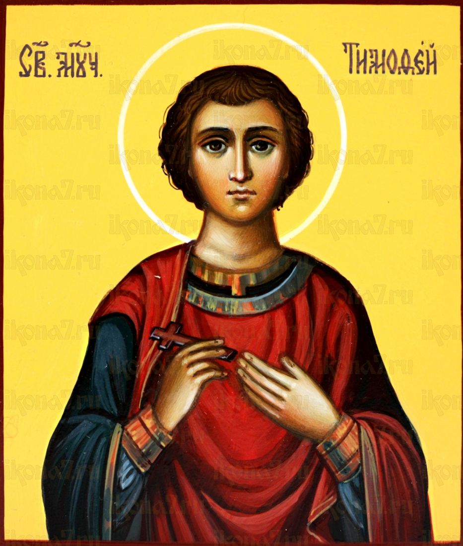 Икона Тимофей Фиваидский (UV-печать)(10285)