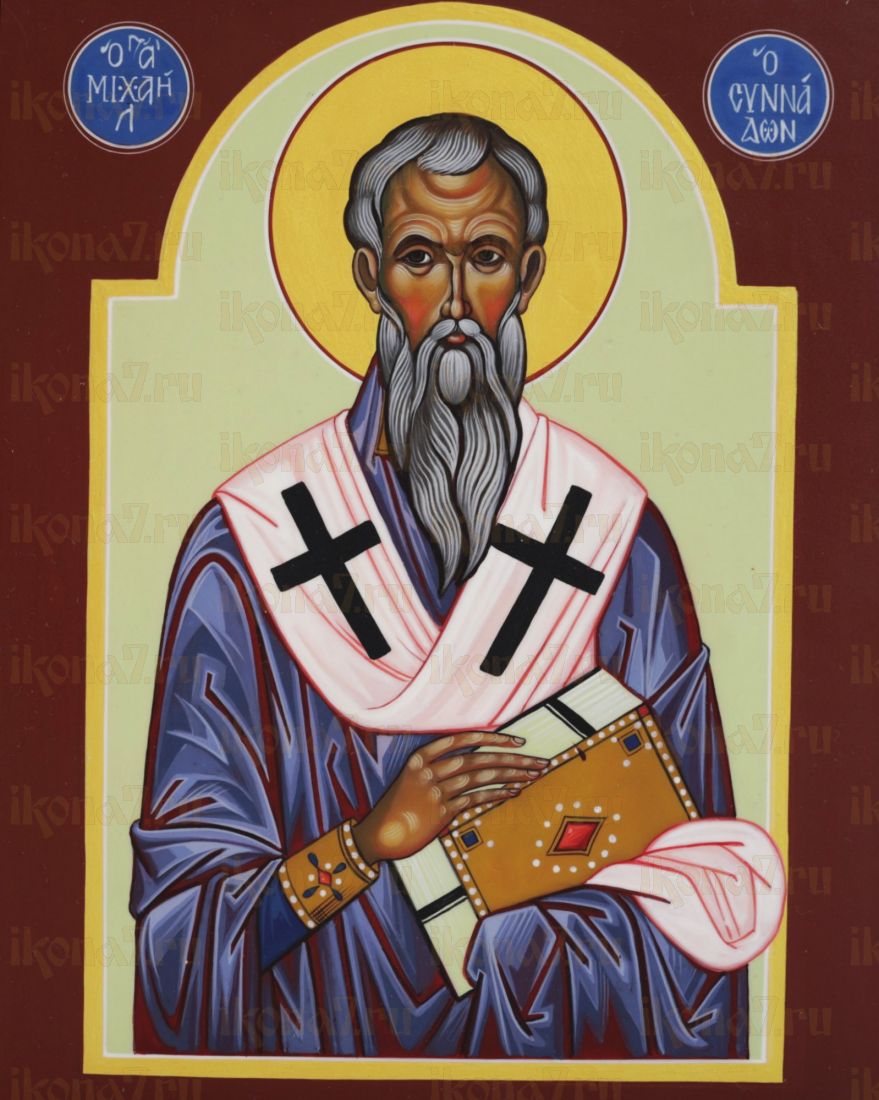 Икона Михаил Синадский (Фригийский) Святитель (UV-печать)(10319)