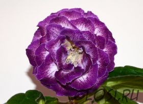 ЕН-Колыбельная Океана (сел.Е.Николаева) Новинка 2025!