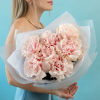 7 вывернутых роз сорт пинк мондиаль