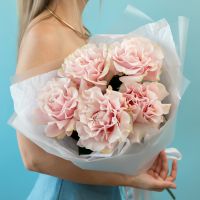 5 вывернутых роз сорт пинк мондиаль