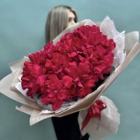 Малиновые французские розы