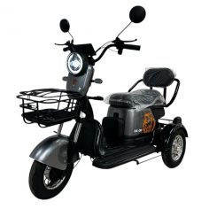 Электрический трицикл LS-CO A3  60V 23AH серый