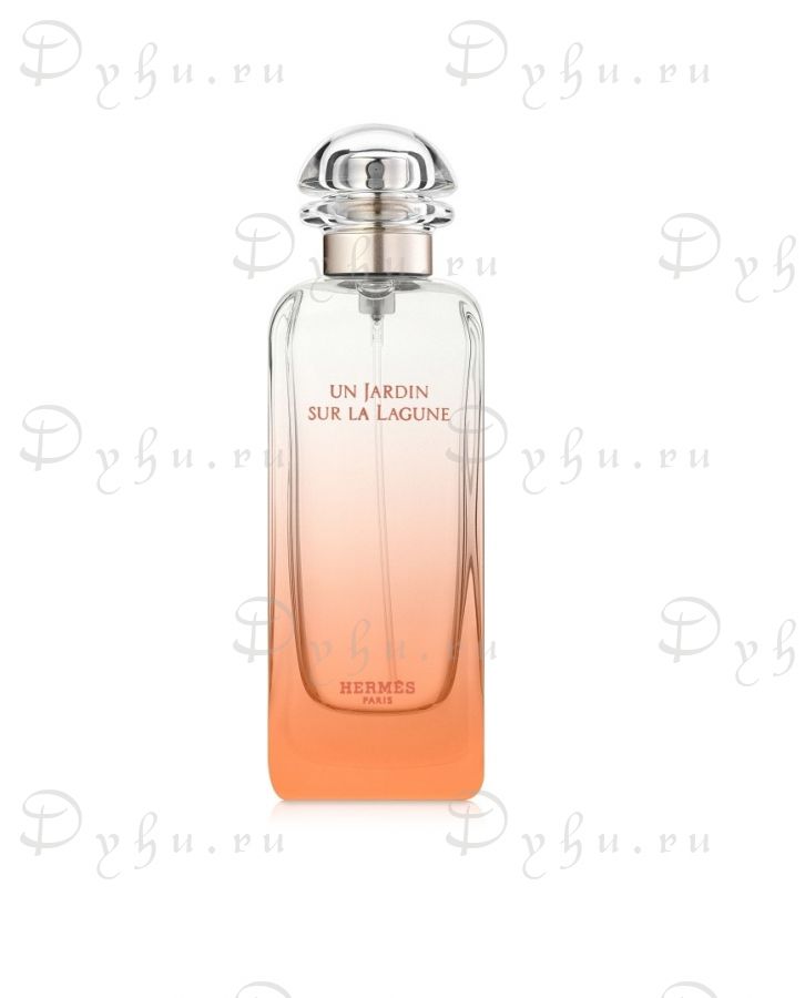 Hermes Un Jardin Sur La Lagune