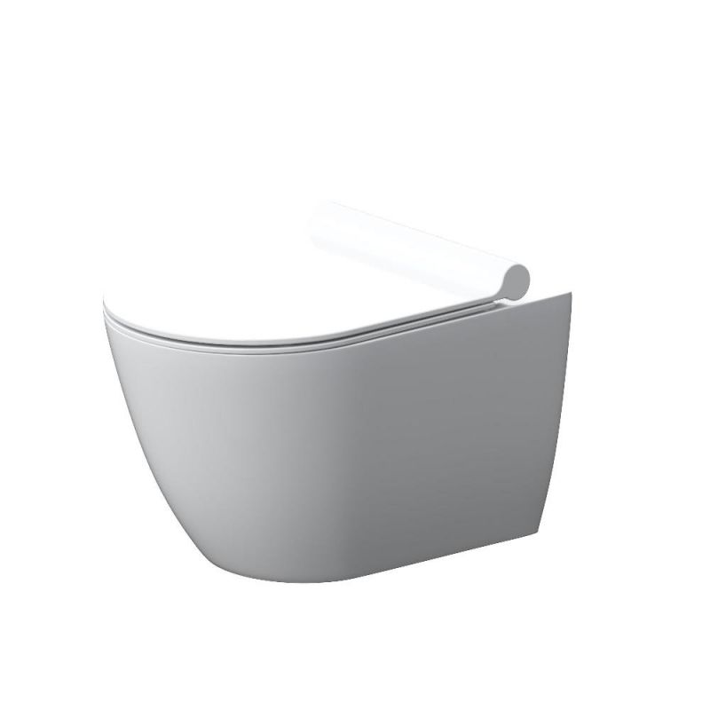 Подвесной унитаз Damixa Apollo без ободка с сиденьем микролифт, DX22C1700SC