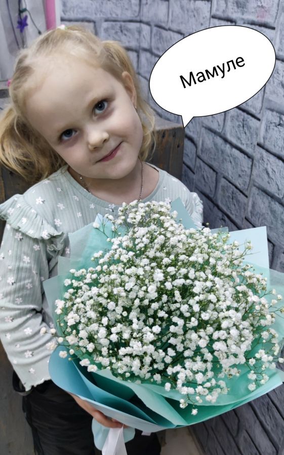 Нежные гипсофилы