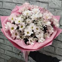 Ромашковые хризантемы с гипсофилой