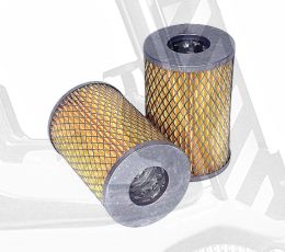 -Фильтр топливный Д-245 Амкодор (элемент фильтрующий) (RAIDER), шт.