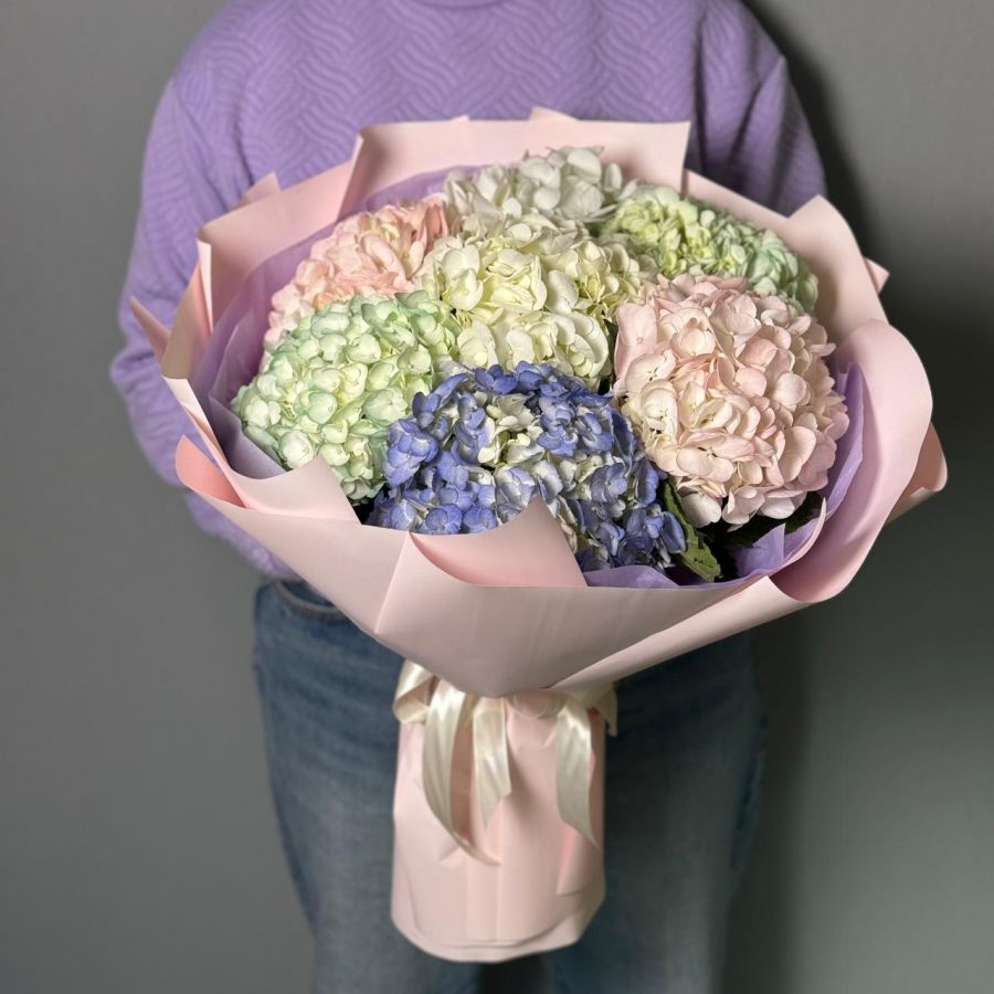 7 разноцветных гортензий