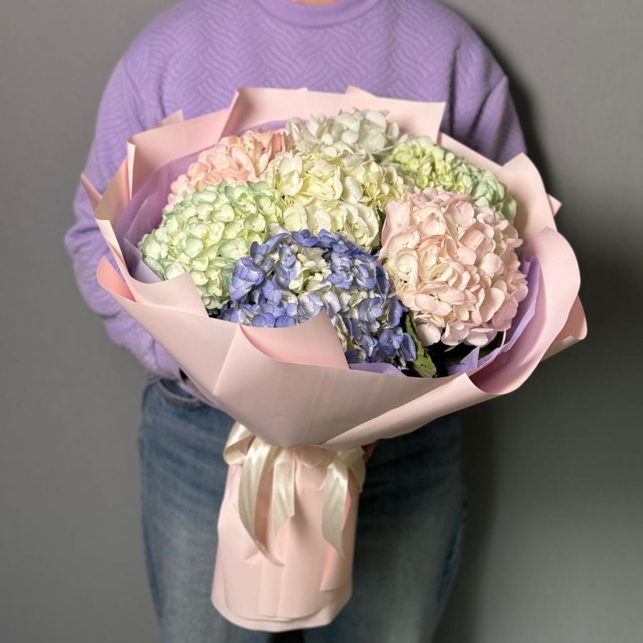 7 разноцветных гортензий