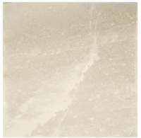 Coliseum Riviera Керамогранит White 60x60 натуральный