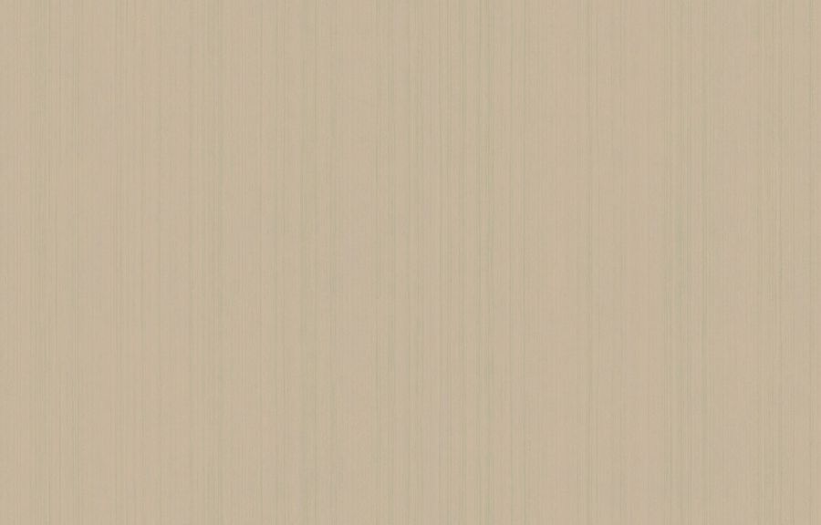 ARTS4 004  Обои Artsimple (Mozart) (1*6) 10,05x1,00 флизелин