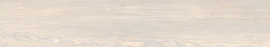 POLO BIANCO 20x120 MATT