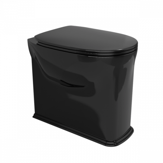 Напольный приставной унитаз Flaminia Madre Plus Goclean Back To Wall WC схема 4