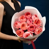 Пионовидная роза от 7 шт (60см, Пинк Экспрешн)