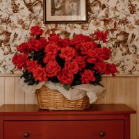 51 алая Французская роза в корзине