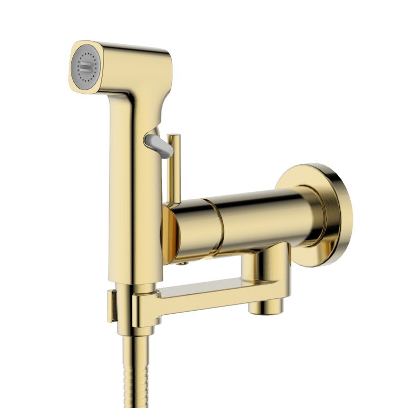 Смеситель с гигиеническим душем Aquatek НИКА, золото шлифованное AQ1819BG