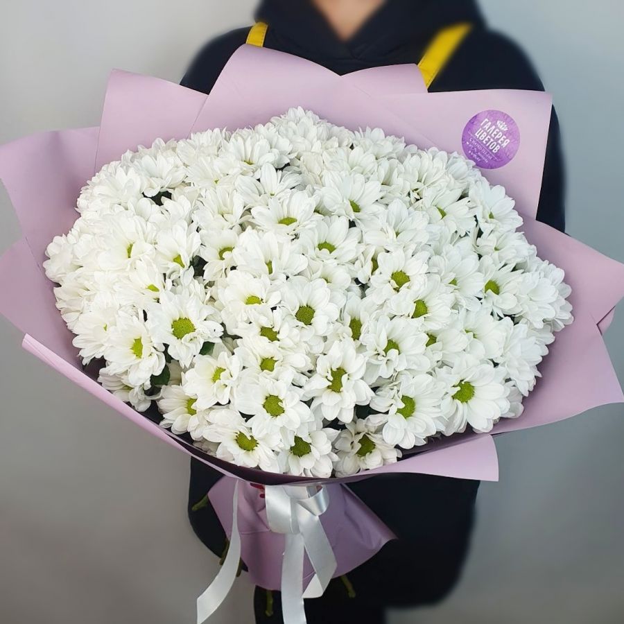 15 белых кустовых хризантем