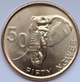 Слон 50 нгве Замбия 2024