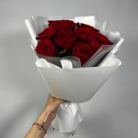 Классический Красный