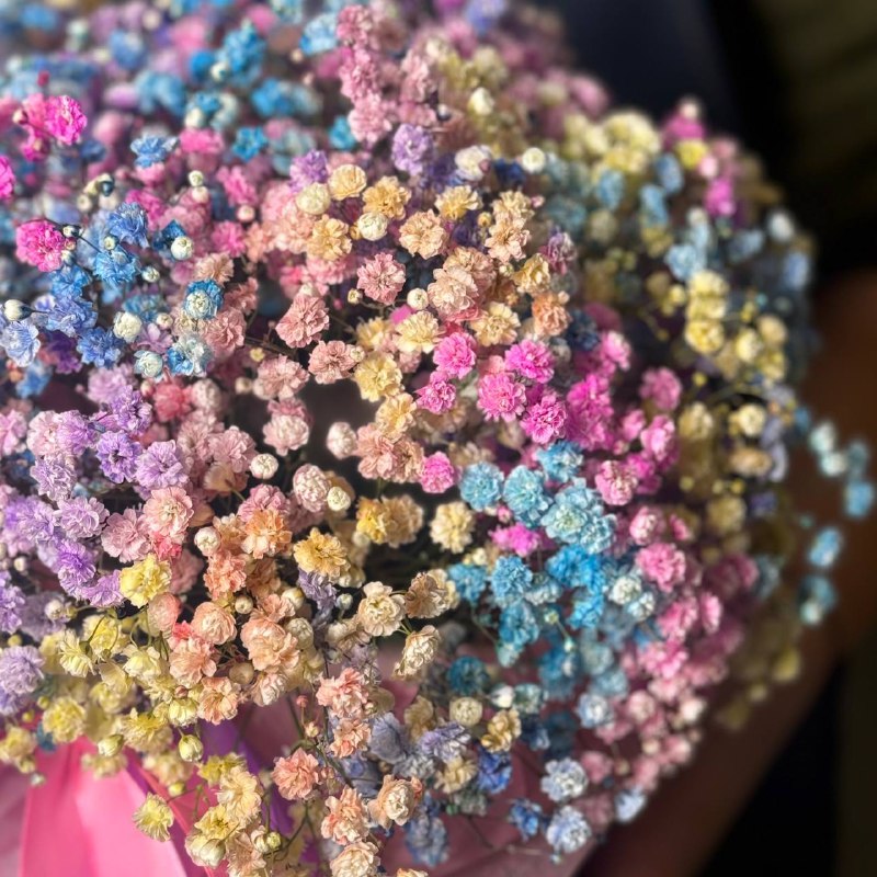 Радужная гипсофила в коробке M