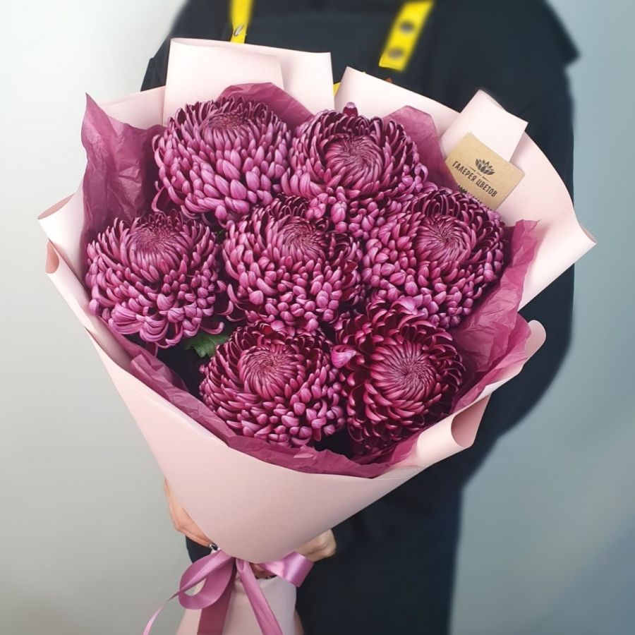 7 винных хризантем в упаковке