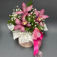 Розовые орхидеи в шляпной коробке