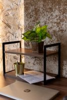 Стеллаж настенный-настольный Латус-10 (250х600)