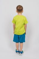 Комплект для мальчика 42113 [салатовый]