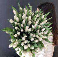 101 белый тюльпан