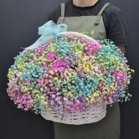 Корзина с цветной гипсофилой