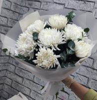 Хризантемы Антонов