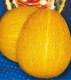 Дыня Леся, 50шт семян