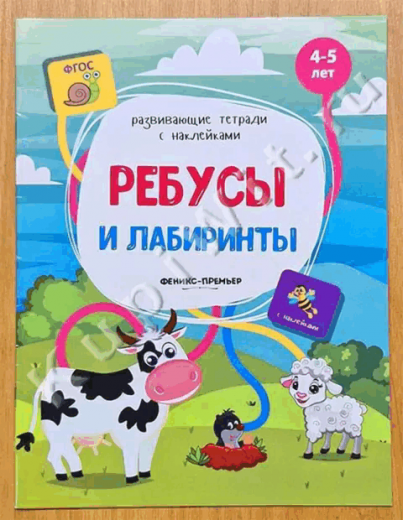 Ребусы и лабиринты. Книжка с наклейками