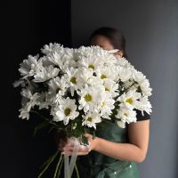 Букет "Ромашки"/хризантема кустовая-7 шт