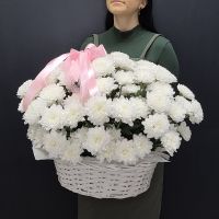 Корзина из белых хризантем