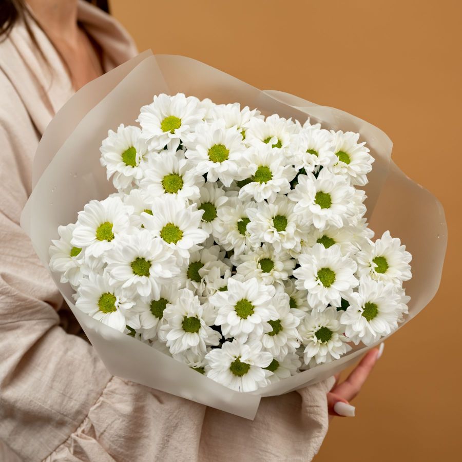 Букет из ромашковых хризантем от 5 шт