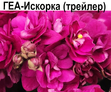 ГЕА-Искорка (Галицкая)  НОВИНКА КАТАЛОГА