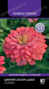 Цинния Захара Дабл Салмон, 5 шт (Поиск)