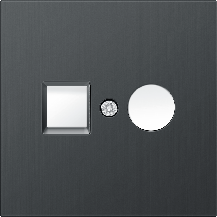 Накладка для розеток RJ45+SAT, 2-я, вороненая сталь, серия R98 METAL