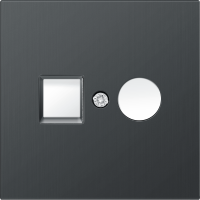 Накладка для розеток RJ45+SAT, 2-я, вороненая сталь, серия R98 METAL