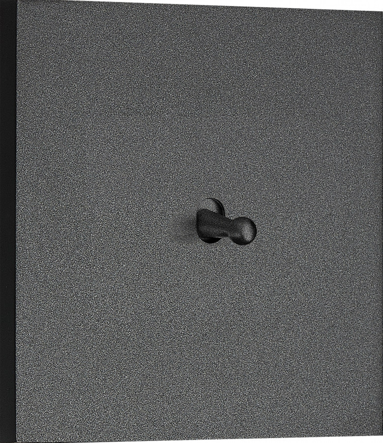 Выключатель звонкового типа на 1 тумблер, каплевидный, 10AX 250V, черный, серия N96