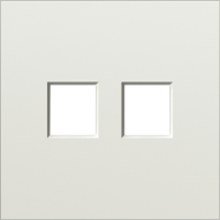 Накладка 2-я для розеток RJ45, TV, SAT, шампань, серия S08