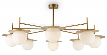 Люстра на штанге Camelia FR5202PL-08BS