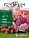 Набор №2 Гортензия метельчатая Санди Фрайз 2 саженца Р9